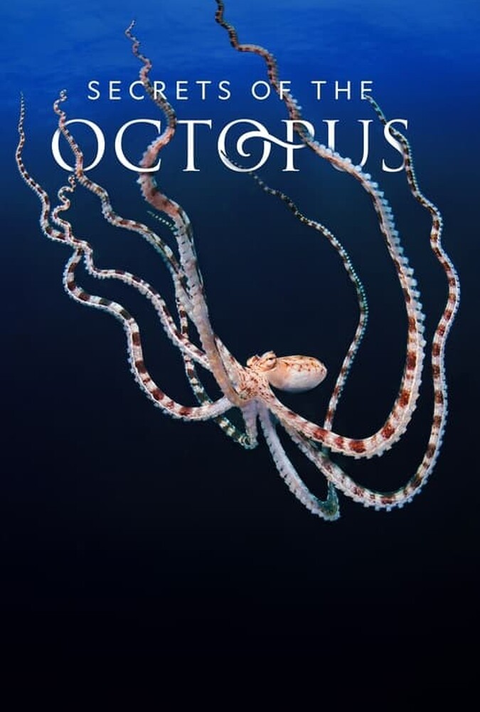 Secrets of the Octopus | رازهای اختاپوس
