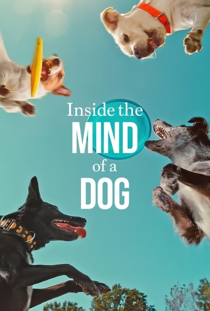 Inside the Mind of a Dog | درون ذهن یک سگ