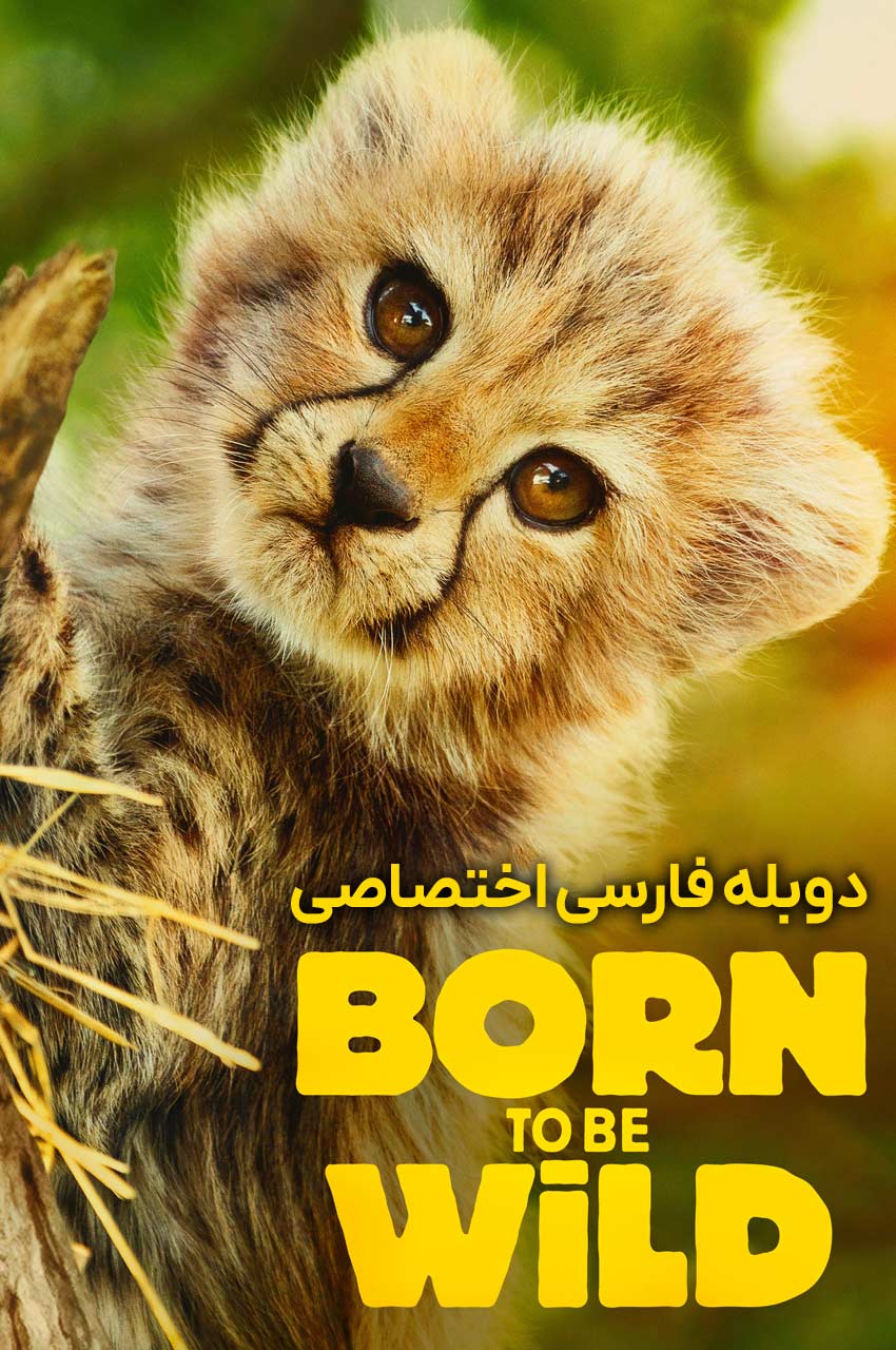 Born to Be Wild | زاده برای وحشی بودن
